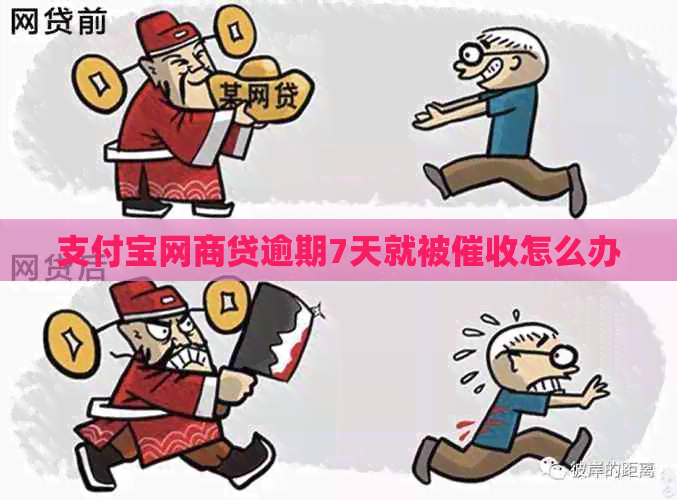 信用卡白条贷逾期7天就被怎么办