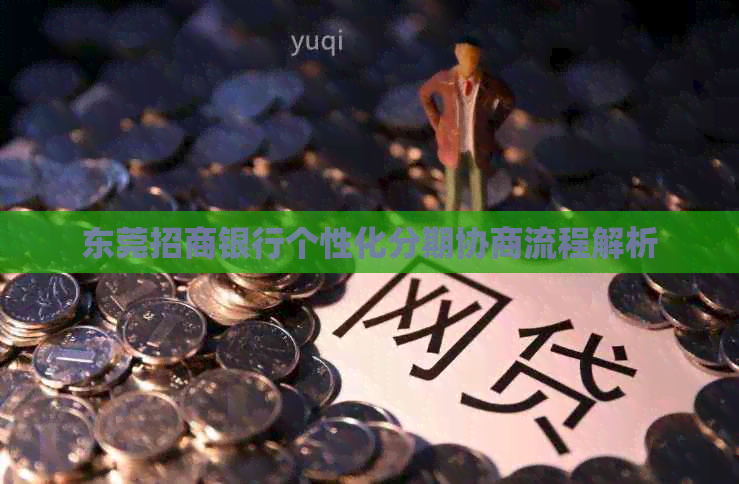 东莞招商银行个性化分期协商流程解析