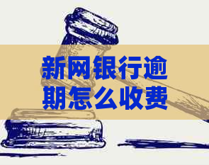 新网银行逾期怎么收费上海
