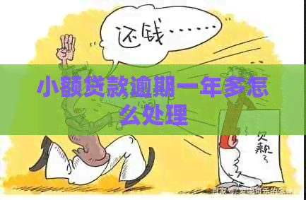 小额贷款逾期一年多怎么处理