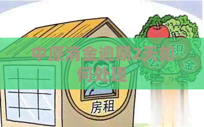 中原消金逾期2天如何处理