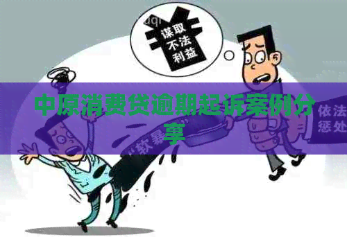 中原消费贷逾期起诉案例分享