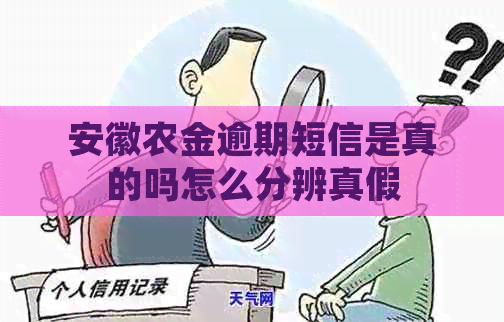 安徽农金逾期短信是真的吗怎么分辨真假