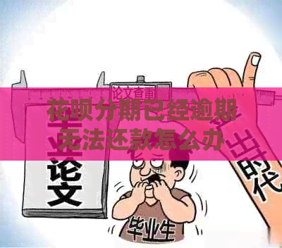 白条分期已经逾期无法还款怎么办