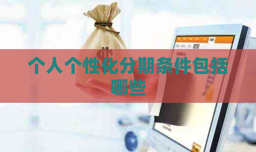 个人个性化分期条件包括哪些 个人个性化分期条件包括哪些