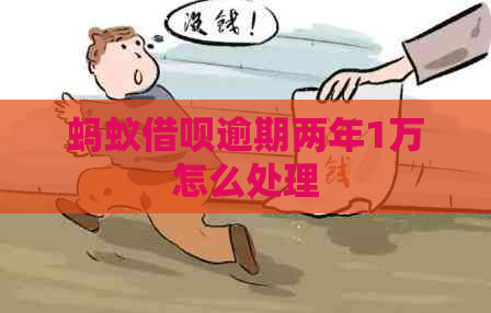 蚂蚁借呗逾期两年1万怎么处理