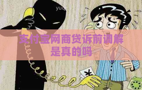 支付宝网商贷诉前调解是真的吗