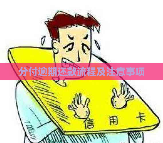 分付逾期还款流程及注意事项