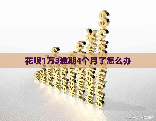 花呗1万3逾期4个月了怎么办
