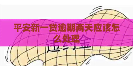 平安新一贷逾期两天应该怎么处理