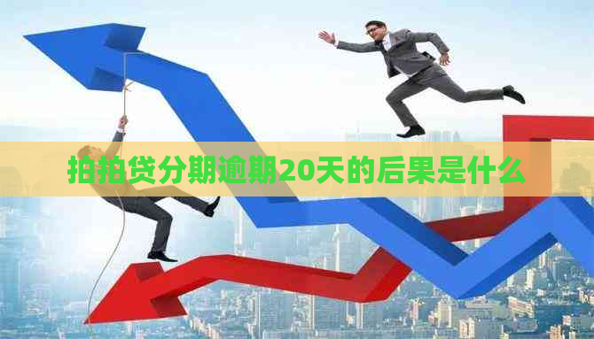 分期逾期20天的后果是什么
