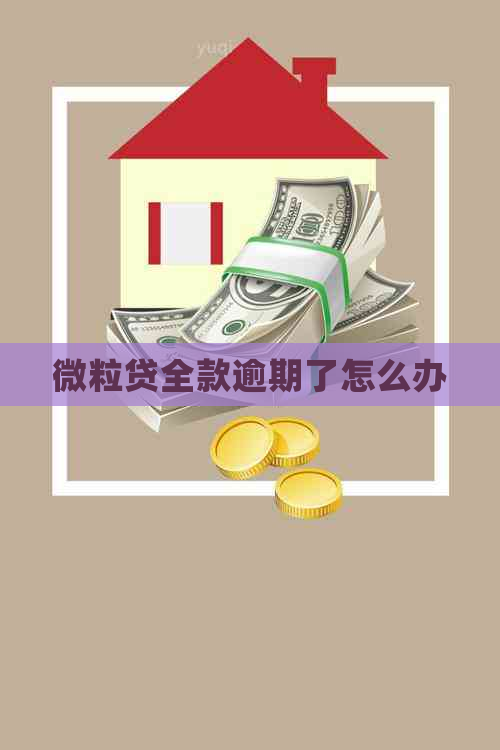 微粒贷全款逾期了怎么办