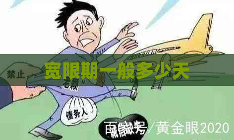 宽限期一般多少天