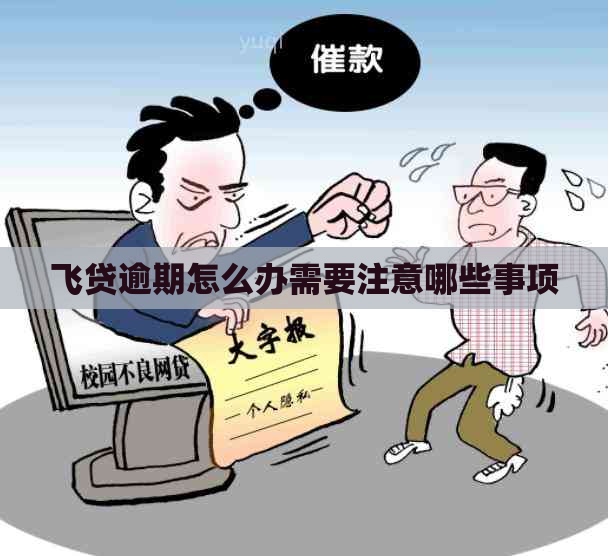 飞贷逾期怎么办需要注意哪些事项
