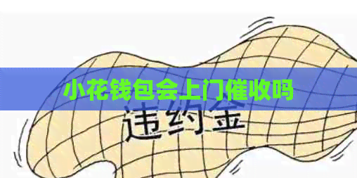 小花钱包会上门吗