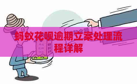 蚂蚁白条逾期立案处理流程详解