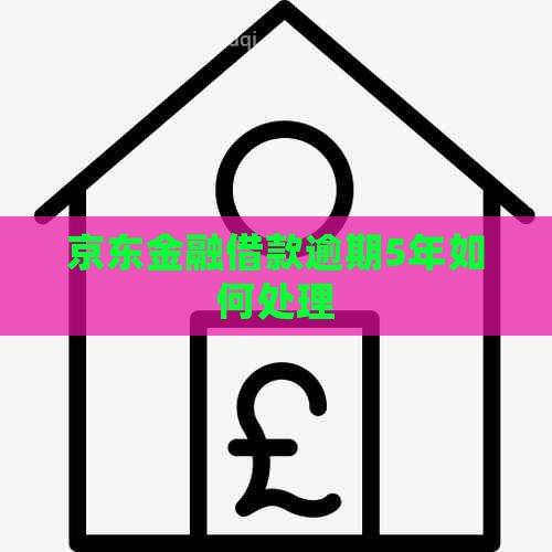 京东金融借款逾期5年如何处理