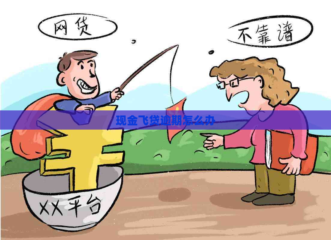 现金飞贷逾期怎么办