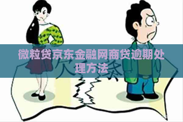 微粒贷京东金融网商贷逾期处理方法