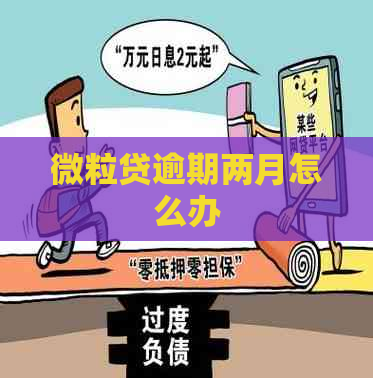 微粒贷逾期两月怎么办