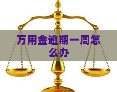 万用金逾期一周怎么办