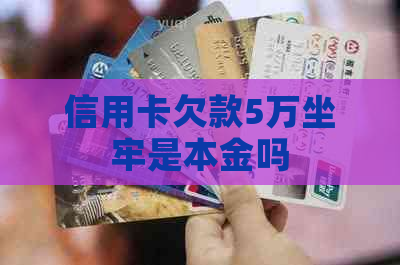 信用卡欠款5万坐牢是本金吗