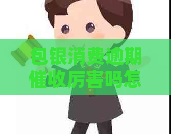 包银消费逾期厉害吗怎么办理