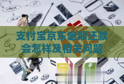 信用卡京东逾期还款会怎样及相关问题