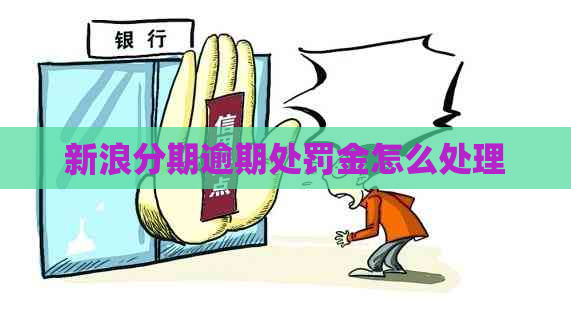 新浪分期逾期处罚金怎么处理