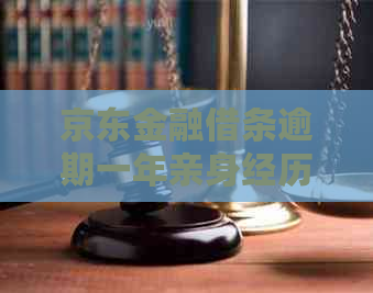 京东金融借条逾期一年亲身经历