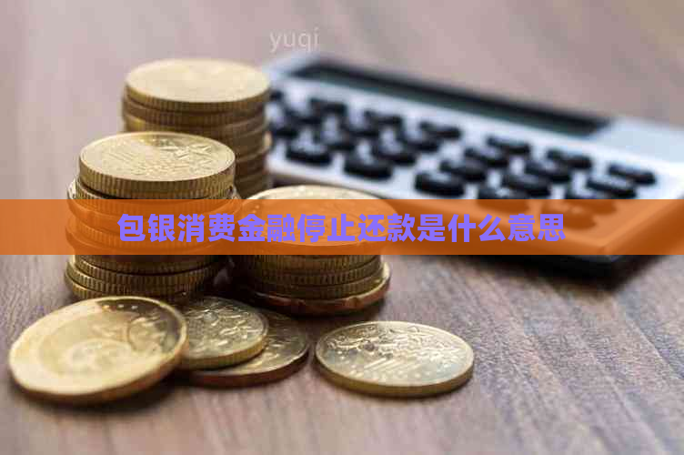 包银消费金融停止还款是什么意思