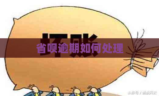 省呗逾期如何处理