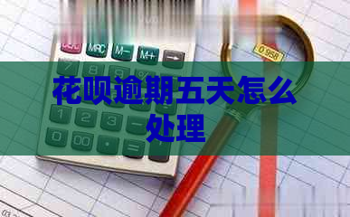 花呗逾期五天怎么处理