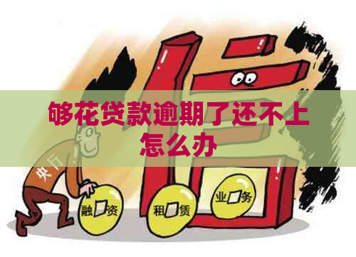 够花贷款逾期了还不上怎么办