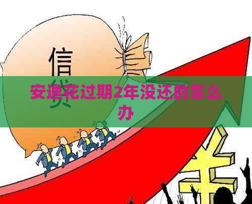 安逸花过期2年没还的怎么办
