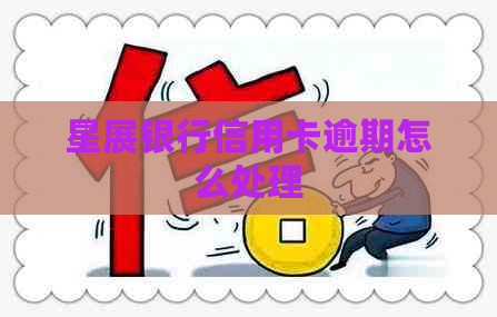 星展银行信用卡逾期怎么处理
