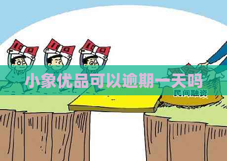 小象优品可以逾期一天吗