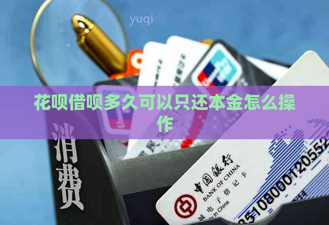 花呗借呗多久可以只还本金怎么操作 花呗借呗多久可以只还本金怎么操作