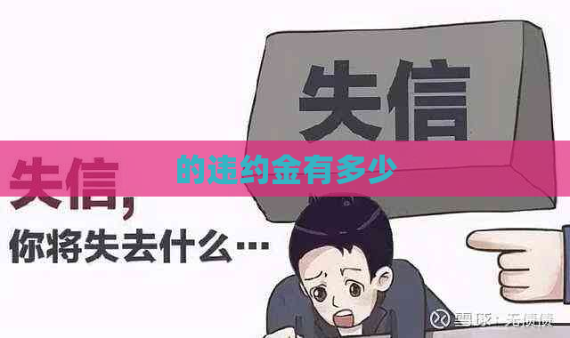 的违约金有多少
