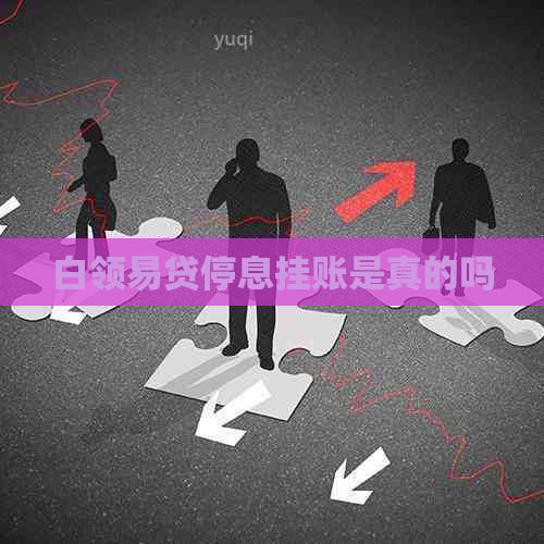 白领易贷停息挂账是真的吗
