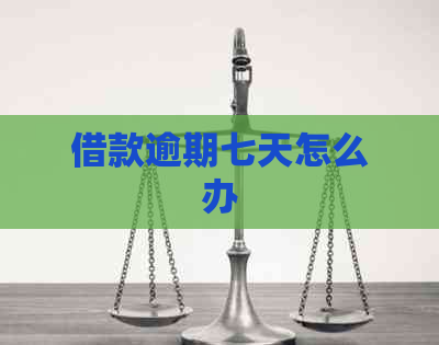 借款逾期七天怎么办 借款逾期七天怎么办