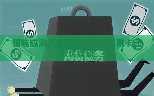 猫咪应激反应缓解方法与信用卡还款优比较