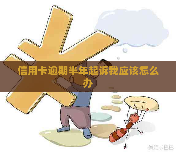 信用卡逾期半年起诉我应该怎么办