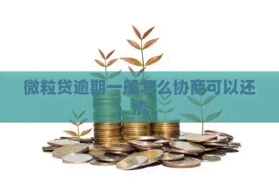 微粒贷逾期一般怎么协商可以还清