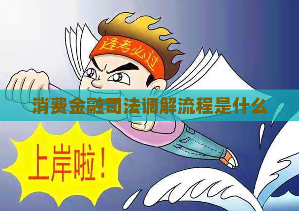 消费金融司法调解流程是什么