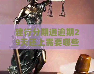 建行分期通逾期29天还上需要哪些手续