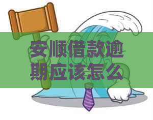 安顺借款逾期应该怎么处理
