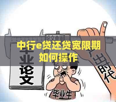 中行e贷还贷宽限期如何操作