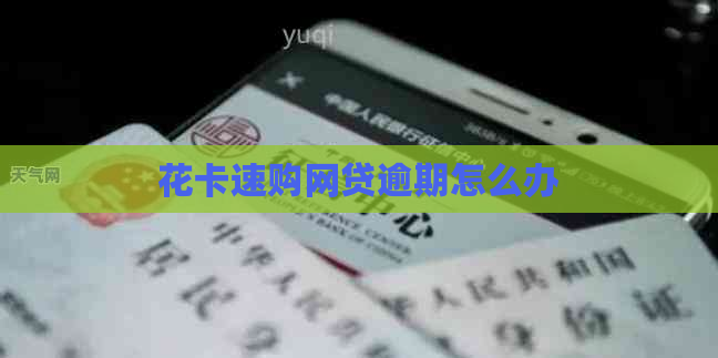 花卡速购网贷逾期怎么办