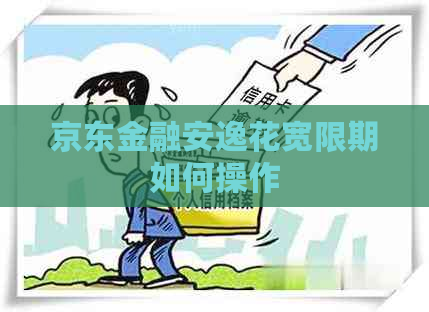京东金融安逸花宽限期如何操作